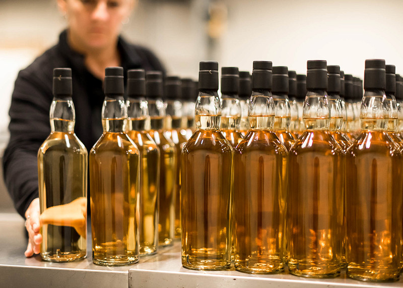 Unlabled, recently bottled whisky is ordered into neat lines on a table by a bottling plant worker